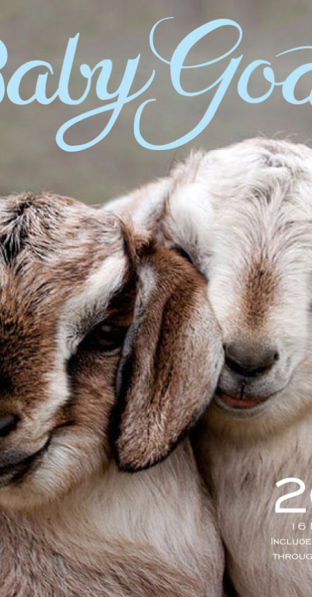 <p style="text-align: center;">Baby Goats 2015 Calendar